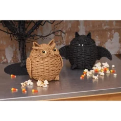 C&F Home Owl Handwoven Halloween Premium Trick Or Treat Candy Basket Container -C&F Home Shop GUEST 1cba39d6 8838 432c 8772 31ad7569944e 1